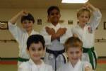 Young Boys in Karate Poses